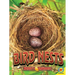 Bird Nests