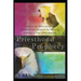 Priesthood & Prophecy