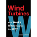 Wind Turbines: What Works What Does Not And Why