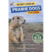 Secret Lives of Prairie Dogs for Kids: Secret Lives of Prairie Dogs for Kids