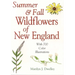 Summer & Fall Wildflowers of New England