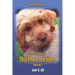 Enchanting Tales Of Sky the Cockapoo Volume 1