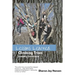Lessons Learned Climbing Trees
