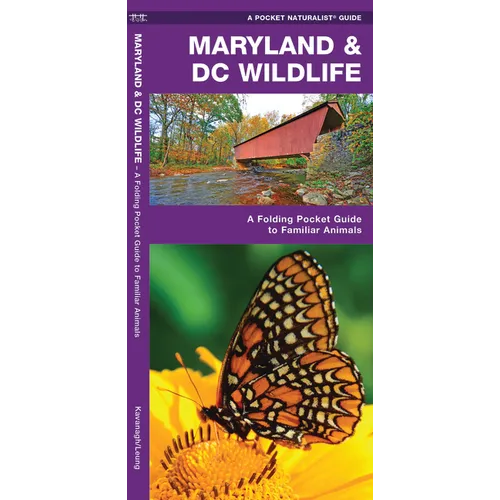 Maryland & DC Wildlife: A Folding Pocket Guide to Familiar Animals