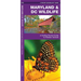 Maryland & DC Wildlife: A Folding Pocket Guide to Familiar Animals