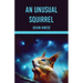 An Unusual Squirrel