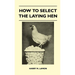 How To Select The Laying Hen