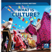 What Is Culture?