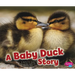 A Baby Duck Story