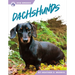 Dachshunds