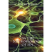 On The Neurobiology of Sin