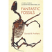 Fantastic Fossils: A Guide to Finding and Identifying Prehistoric Life