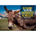 Know Your Donkeys & Mules