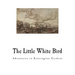 The Little White Bird: Adventures in Kensington Gardens