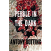 Pebble in the Dark