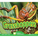 Grasshoppers