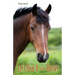 Let's Hear It for the Horses