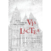 Via Lactea: A Woman of a Certain Age Walks the Camino