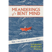 Meanderings of a Bent Mind: The Journeys of an Introvert