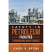 Safety in Petroleum Facilities Turnaround Maintenance