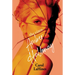 The Vixen Amber Halloway