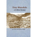 Tiny Hinsdale of the Silvery San Juan