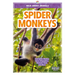 Spider Monkeys