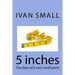 5 inches: The diary of a very small penis
