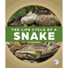 The Life Cycle of a Snake