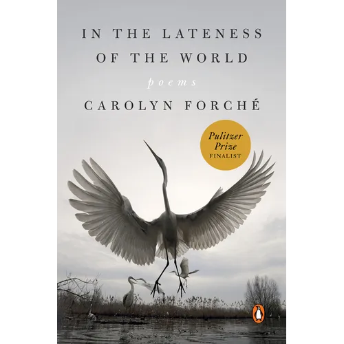 In the Lateness of the World: Poems