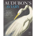 Audubon's Aviary: The Original Watercolors for the Birds of America