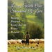 Living with Our Shepherd of Love: Seeing Heaven Everyday in Every Person