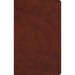 ESV Large Print Value Thinline Bible (Trutone, Chestnut)