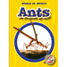 Ants