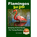 Flamingos For Kids Amazing Animal Books For Young Readers