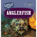 20 Things You Didn't Know about Anglerfish