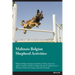 Malinois Belgian Shepherd Activities Malinois Belgian Shepherd Activities (Tricks, Games & Agility) Includes: Malinois Belgian Shepherd Agility, Easy