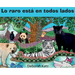 Lo raro está en todos lados