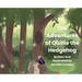 The Adventures of Quillie the Hedgehog