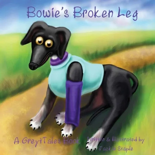 Bowie's Broken Leg