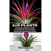 Air Plant: Step by Step Guide to Growing Tillandsia + Tips for Indoor Plants