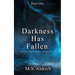 Darkness Has Fallen: The start of a journey through a dark night of the soul