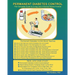 Permanent Diabetes Control: The Complete Guide To Living Like A Normal Person Forever