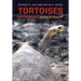 Tortoises of the World: Giants to Dwarfs