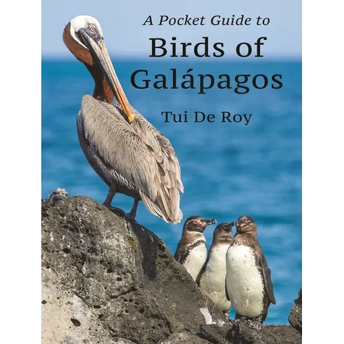 A Pocket Guide to Birds of Galápagos