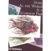 Hope, as the World Is a Scorpion Fish