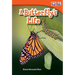A Butterfly's Life