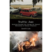 Traffic Jams: Analysing Everyday Life Through the Immanent Materialism of Deleuze & Guattari
