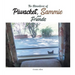 The Adventures of Piwacket, Sammie and Friends