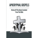 Apocryphal Gospels: History Of The Books Excluded From The Bible: Apocrypha Bible